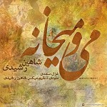 دانلود آهنگ می و میخانه از مستر شاهین